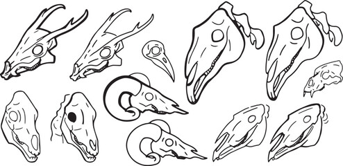 Set Line Halloween Clip art llustration animal skull Ink linear drawing western style coloring. Modern minimalist print design element dead creature contour deceased cattle ram skull outline sheep cow © an