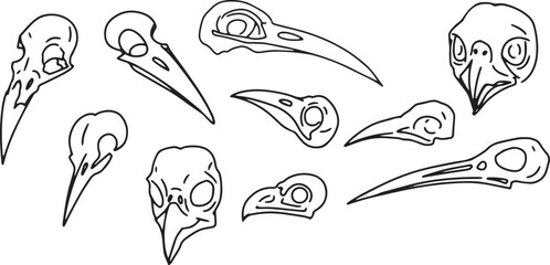 Set Line Halloween Clip art llustration animal skull Ink linear drawing western style coloring. Modern minimalist print design element dead creature contour deceased bird skull outline occult symbol