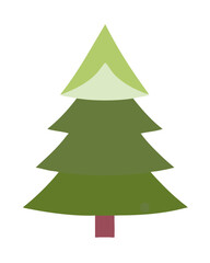 Pine tree icon — Vector
