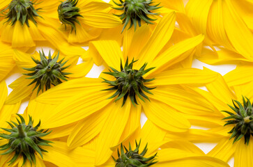 yellow flowers background