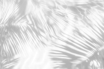 Obraz premium PNG Palm leaves shadow on water background abstract shadows.