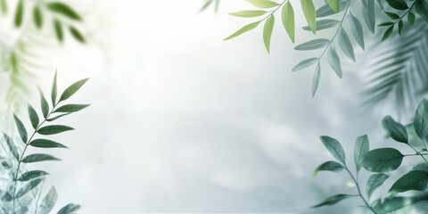 Fototapeta premium Soft leaves cast gentle shadows on a light background in a serene indoor setting