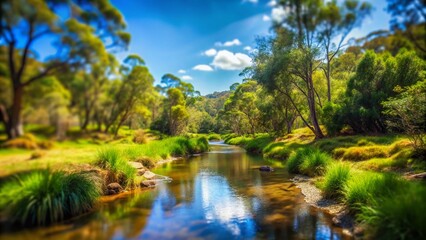 Serene Bushland Landscape with a Gentle Stream Flowing Through Lush Greenery Under Clear Blue Sky