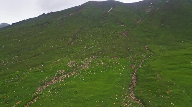 Aerial view of flocks of sheep grazing in the mountains of Mulla Ki Basti, Dudipatsar National Park, Kaghan Valley, Pakistan