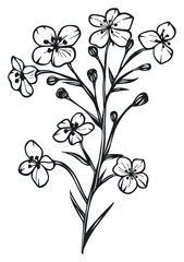 PNG Elegant black floral line art