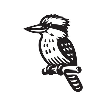 recommend clip art: Download Stunning Kookaburra Silhouette Vectors for Print and Digital
