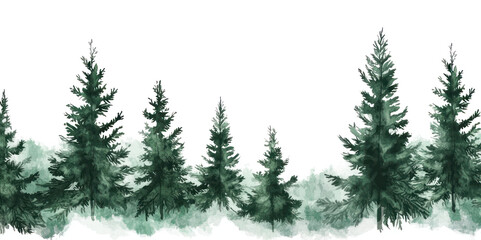 Obraz premium Pine trees vegetation outdoors woodland.