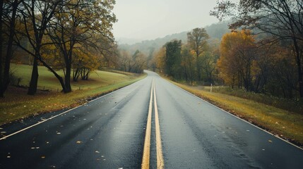 Fototapeta premium An open road flanked by autumnal trees leads into misty hills, conveying a sense of tranquility and endless possibility.