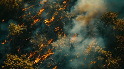 Flames and thick smoke engulf a forest, viewed from above, showcasing the intense destruction and the daunting task of firefighting during a wildfire.