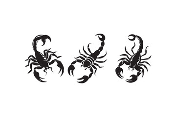 Tattoo Scorpion  silhouette vector