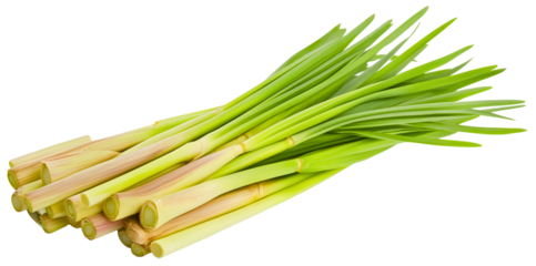 Lemongrass isolated on transparent background, fresh green herb with distinct flavor, aromatic plant used as culinary ingredient, organic grass stems showcasing natural citrus aroma
