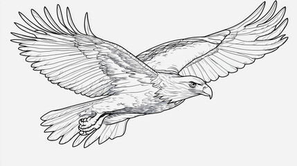 Eagle drawing for coloring book enthusiasts, detailed bird sketch on blank page, animal contour art showcasing majestic flying pose, wildlife illustration with intricate outlines