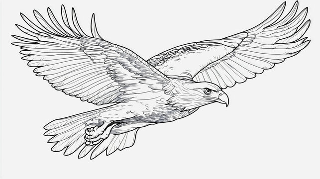 Eagle drawing for coloring book enthusiasts, detailed bird sketch on blank page, animal contour art showcasing majestic flying pose, wildlife illustration with intricate outlines