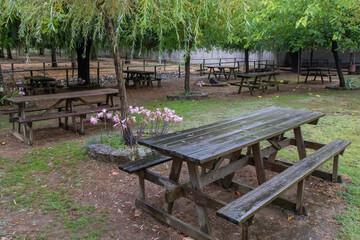 Parque do Rio Novo, Parque de Merenda de Mamarosa, Oliveira do bairro, Portugal.