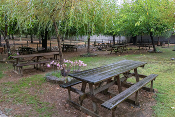 Parque do Rio Novo, Parque de Merenda de Mamarosa, Oliveira do bairro, Portugal.