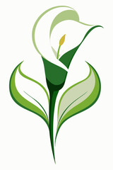 A simple and elegant illustration of a white calla lily with green leaves, perfect for adding a touch of nature and sophistication to your designs. This delicate flower symbolizes purity, beauty.