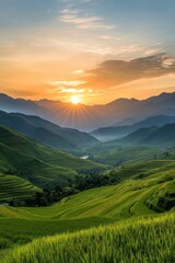 Fototapeta premium Sunset over lush terraced rice fields in mountainous landscape with vibrant sky