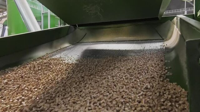 Pellet production process for home heating