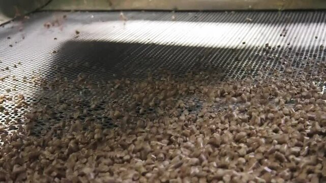 Pellet production process for home heating