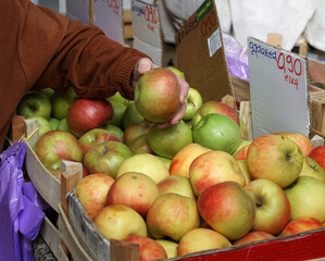 The hand of an old woman buying a local organically grown apple of the Idared variety at the market