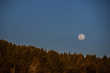 Moon in the sky