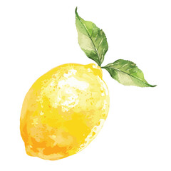 lemon watercolor illustration vector isolated on white background