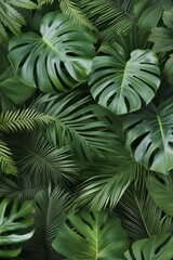 Lush green tropical leaves creating a vibrant, textured background in natural light