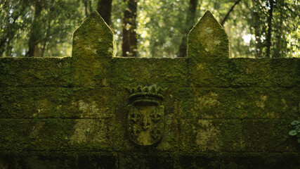 Moss-Covered Crest on Ancient Wall in Aldán Forest