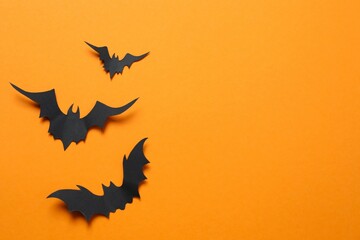 Halloween decorations. Black bats on color background