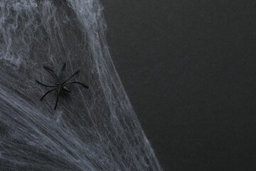 Halloween holiday decorations including cobwebs and spider on a black background