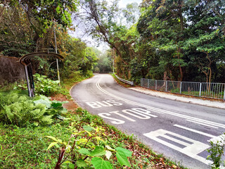 A quiet bus stop along a winding road surrounded by lush greenery in the early morning light
