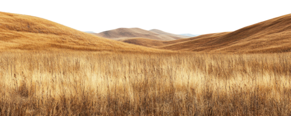 PNG Brown hills lanscape landscape scenery ground.