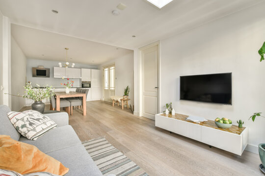 Modern living room interior with stylish decor