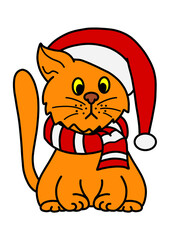 Red Cat in a Hat and Scarf