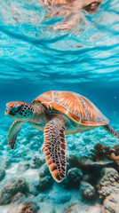 Obraz premium Sea turtle underwater, ocean animal in aquarium, marine tropical wildlife swimming, colorful coral reef life, beautiful aquatic creature diving, natural underwater landscape