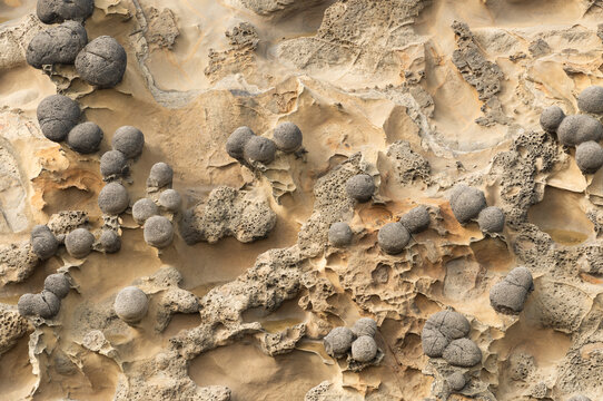 Intricate natural patterns on weathered sandstone