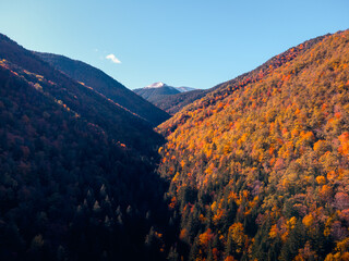 Vibrant autumn colors in the Aragonese Pyrenees