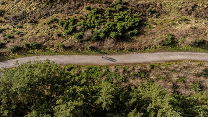 Birds eye view of trail in forest