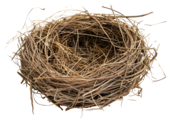 PNG Empty bird nest on white