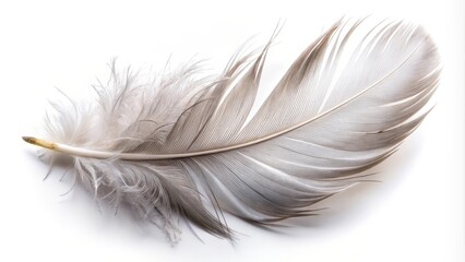 Obraz premium Single grey feather is lying on a white background, creating a delicate and minimalist composition