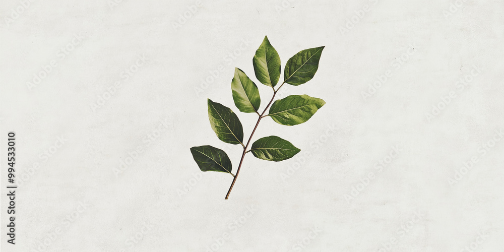 Poster light gray minimalist background for text featuring a branch with green leaves