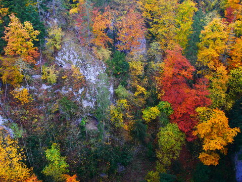 Colorful forest during autumn day in Macocha cave with colorful foliage