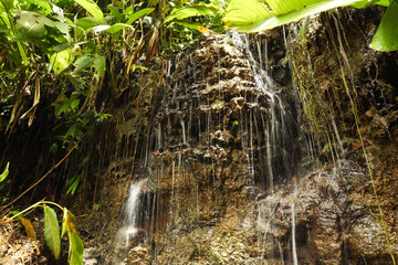Tropical Serenity: A Gentle Waterfall Amidst Lush Greenery