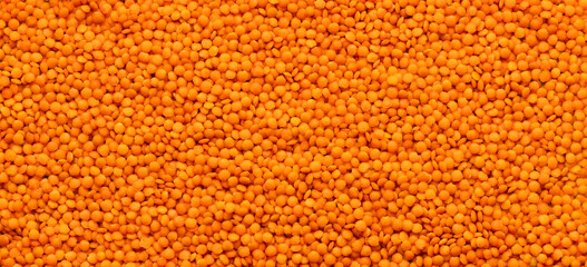 Red lentils in a pile - Lens culinaris organic.