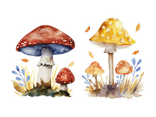 Cute water color mushrooms isolated on transparent background.