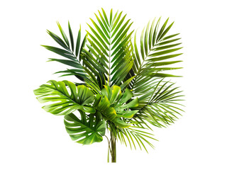 Lush green palm fronds isolated on transparent background.
