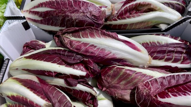 Long red chicory, italian radicchio,  in cardboard box, top view tracking shot