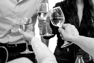 Celebrating friendship with toast at a joyful gathering in an elegant setting during a sunny afternoon