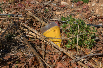 Pheromone trap for the Mediterranean fly (Ceratitis capitata) used