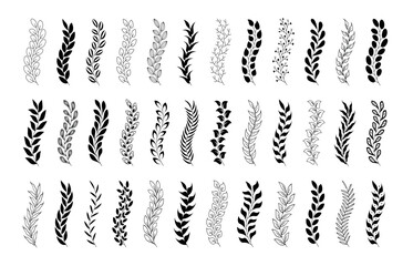 Wheat ears icons. Oat and wheat grains set isolated on transparent background. Hand drawn floral vintage wreaths. Abstract flat elements collection. Flora leaf branch plant for frame border ornament